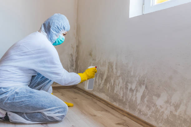 Mold Remediation specialist working in Freeport